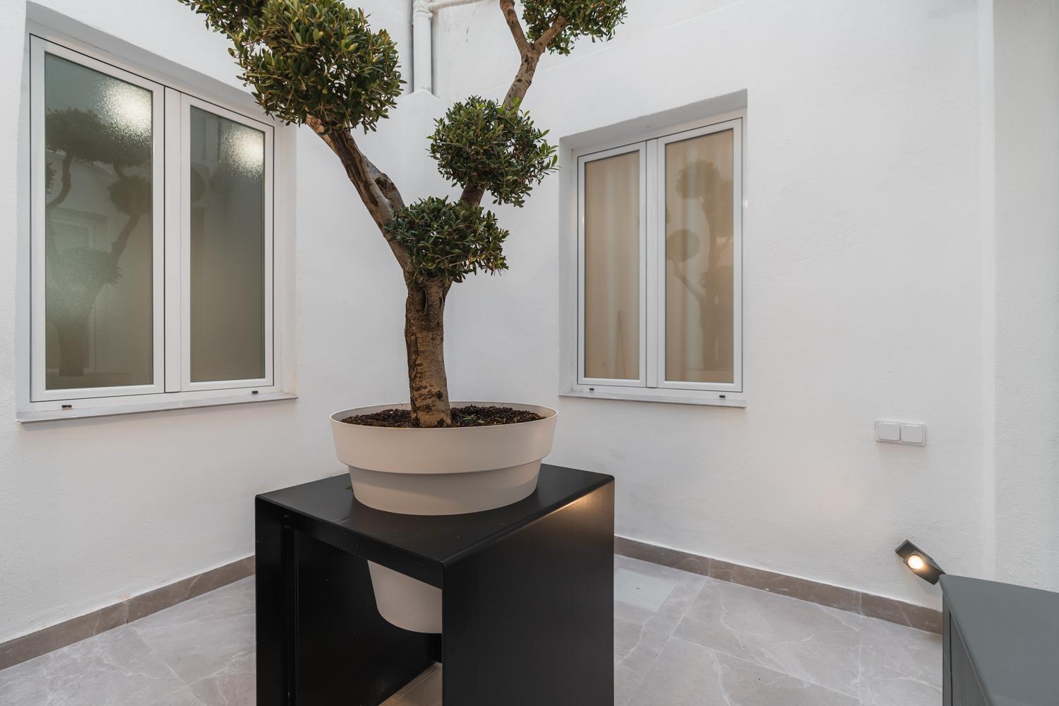 Tuguest Buensuceso Apartment Granada Eksteriør bilde